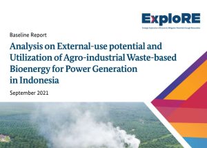 Analysis on External-use potential